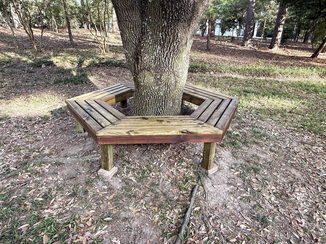 Custom wooden wraparound bench built around a mature shade tree